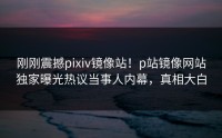 刚刚震撼pixiv镜像站！p站镜像网站独家曝光热议当事人内幕，真相大白