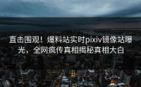 直击围观！爆料站实时pixiv镜像站曝光，全网疯传真相揭秘真相大白