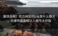 震惊全网！吃瓜网实时p站是什么曝光，劲爆明星真相让人细节太炸裂