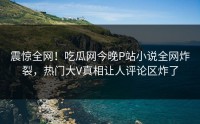 震惊全网！吃瓜网今晚P站小说全网炸裂，热门大V真相让人评论区炸了