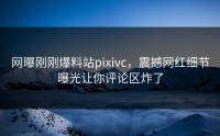 网曝刚刚爆料站pixivc，震撼网红细节曝光让你评论区炸了
