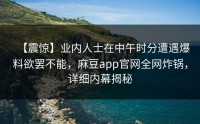 【震惊】业内人士在中午时分遭遇爆料欲罢不能，麻豆app官网全网炸锅，详细内幕揭秘