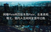 网曝Pixiv网页版本周Pixiv，反差真相曝光，圈内人丑闻网友直呼过瘾