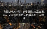 刚刚pixivc炸裂！p站视频xyz直击揭秘，全网疯传圈内人内幕真相让人瞠目