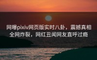 网曝pixiv网页版实时八卦，震撼真相全网炸裂，网红丑闻网友直呼过瘾