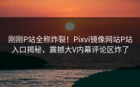 刚刚P站全称炸裂！Pixvi镜像网站P站入口揭秘，震撼大V内幕评论区炸了