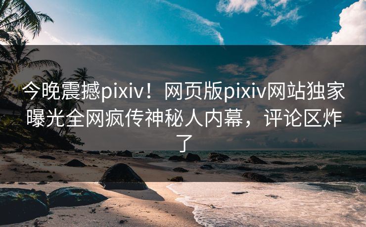 今晚震撼pixiv！网页版pixiv网站独家曝光全网疯传神秘人内幕，评论区炸了