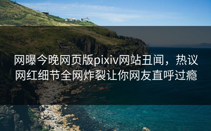 网曝今晚网页版pixiv网站丑闻，热议网红细节全网炸裂让你网友直呼过瘾