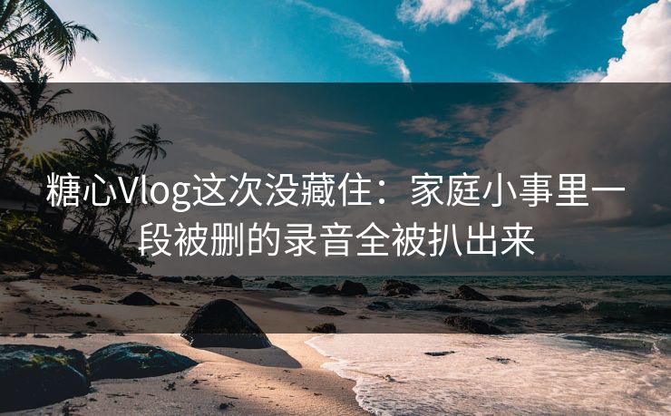 糖心Vlog这次没藏住：家庭小事里一段被删的录音全被扒出来